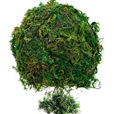 Muschio Finto,200g Muschio