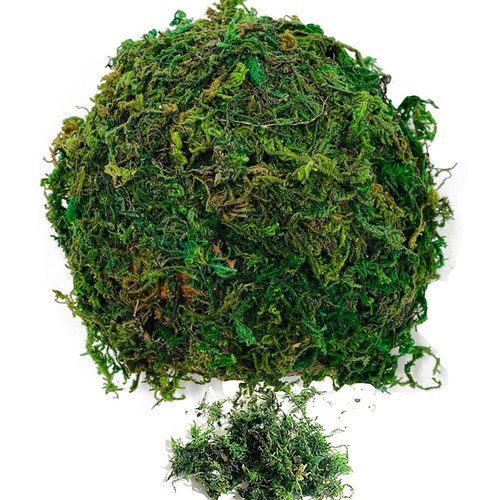 Muschio finto 200g - muschio, finto,200g
