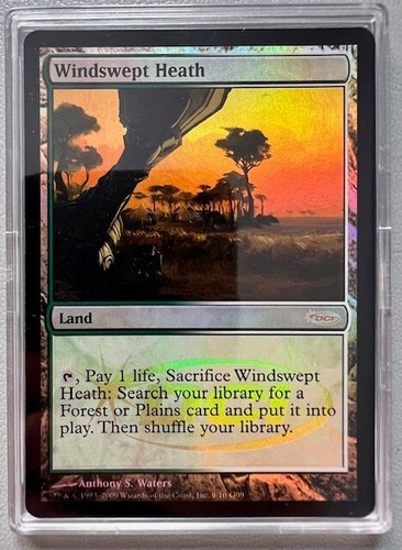 Judge foil windswept - judge,
