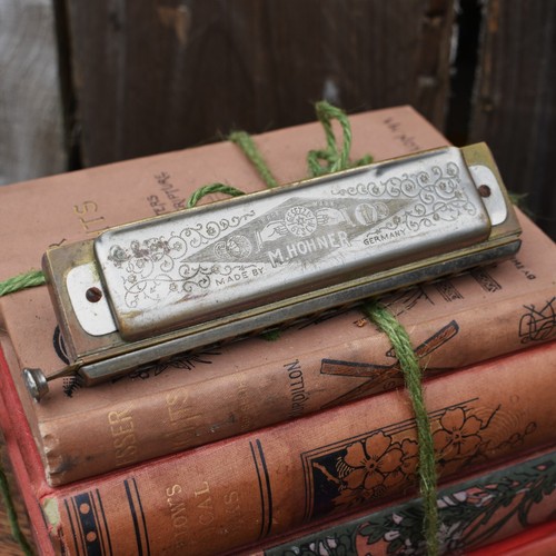 Organo bocca armonica hohner - bocca,
