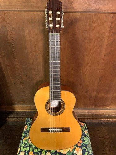 Chitarra classica aria - classica,