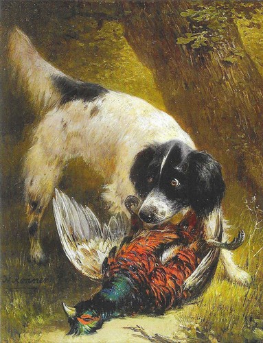 Nuova cartolina cani museo - nuova,