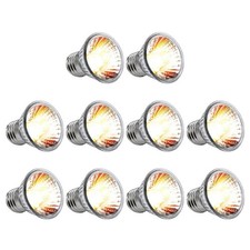 10 Pezzi Lampada per Rettili