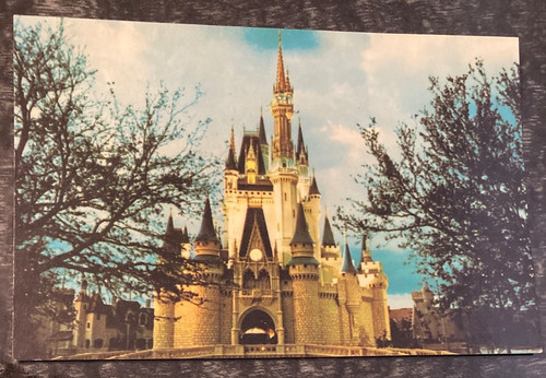 Unused postcard walt - postcard,