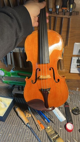 Violino atelier primi del - di,