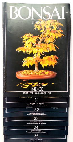 Raccolta rivista bonsai news - &,