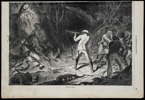 1869 caccia gorilla - 1869,