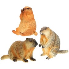  3 pezzi simulazione marmotta