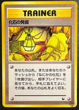 Fossil Excavation TRAINER 1998