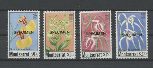 Montserrat flora esemplare - montserrat,