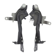 Cerniere Cofano Renault GRAND