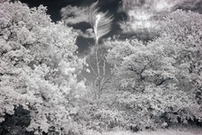 Corpo fotocamera Canon EOS M