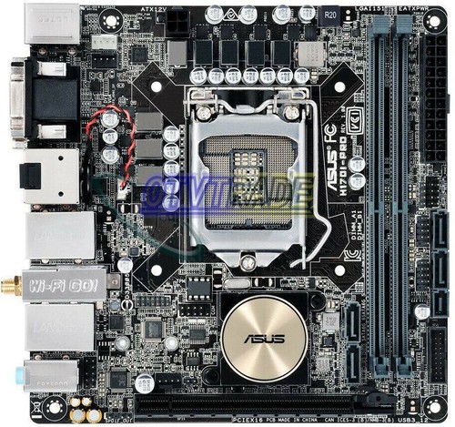 Scheda madre asus - scheda,