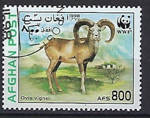 Afghanistan 1998 pecore wwf - afghanistan,