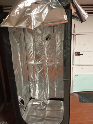 Grow box hydro - , shoot