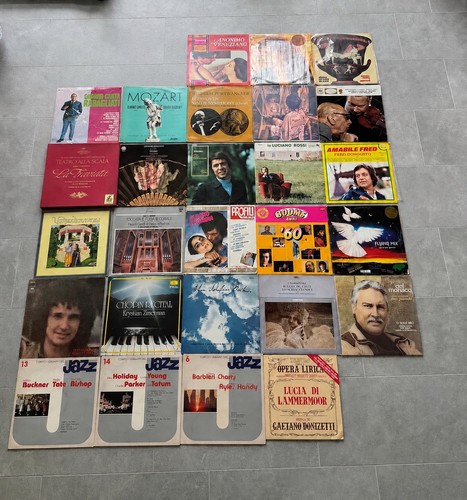 Lotto vinili lp - 27, vari