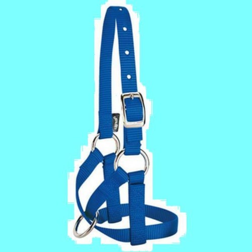 Weaver capezza cavezza nylon - cavezza,