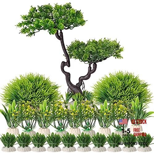 Set alberi piante - di,