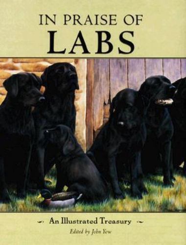 Praise labs john yow - in,