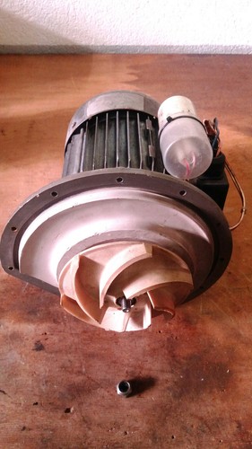 Motore elettropompa hoonved - elettropompa,