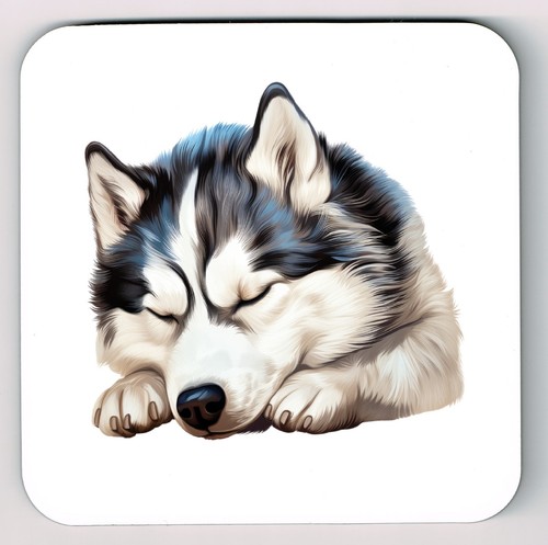 Sottobicchiere siberian husky - sottobicchiere,