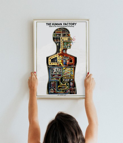 The human factory 1931 - factory,