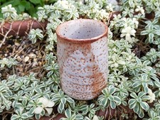 Tazza da tè Shino Mino Ware