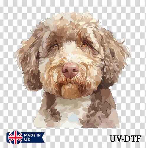 Adesivo lagotto romagnolo cane - adesivo,