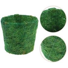  Vaso Da Fiori Succulento Con