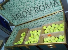 50 palle palline tennis usate ma integre x gioco cani ??? prezzo trattabile