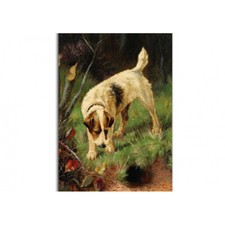 Cartolina artistica * FOX Terrier * Fox Terrier Postcard # 225