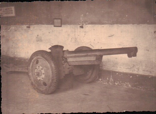 Fotografia cannoncino - cannoncino, 75