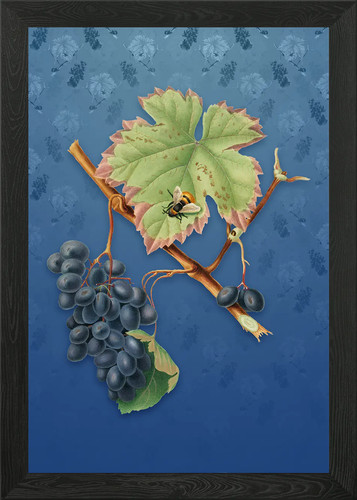 Quadro stampa tela poster - quadro, su
