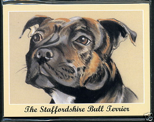 The staffordshire bull - the,
