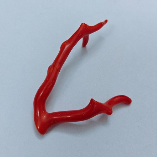 Autentico corallo rosso