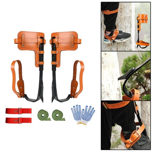 Spiga per arrampicata - , su