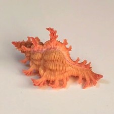 Ciondolo Murex Chicoreus