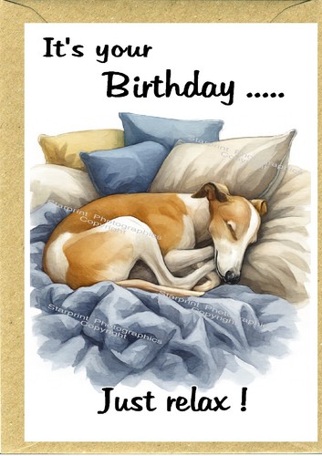 Biglietto compleanno cane - biglietto,