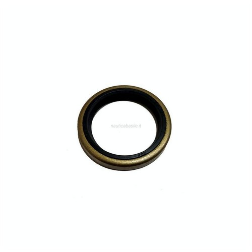 Paraolio piede evinrude - -, pz