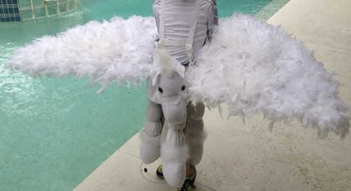 Costume personalizzato pegasus - costume,