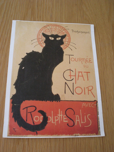 Chat noir paris black cat - paris, halo