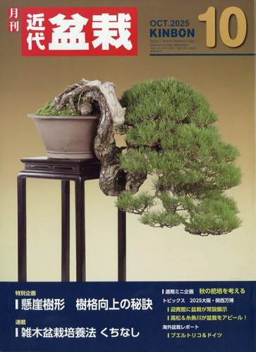 Japanese bonsai magazine - japanese,