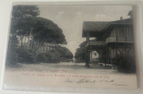 Cartolina san rossore pisa - rossore,