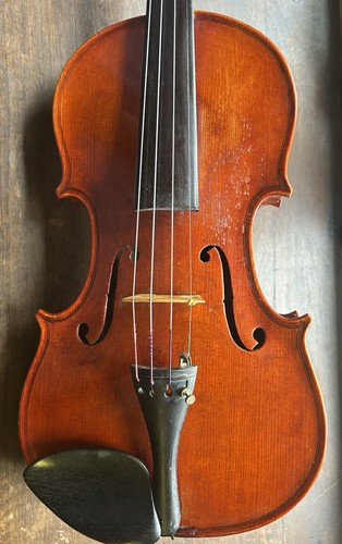 Old violin labeled stefano - violin,