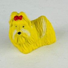 Shih Tzu Giallo Cucciolo Cane