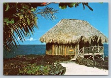 Cartolina d'epoca fotocromatica Kona Village Resort Hawaii bungalow di paglia