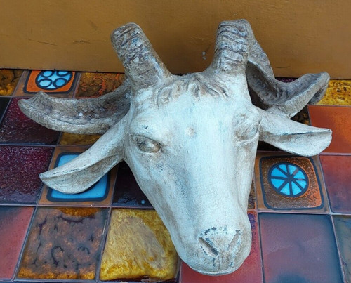 Macelleria fonte testa capra - macelleria,