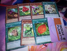 LOTTO 7 CARTE NATURIA IN