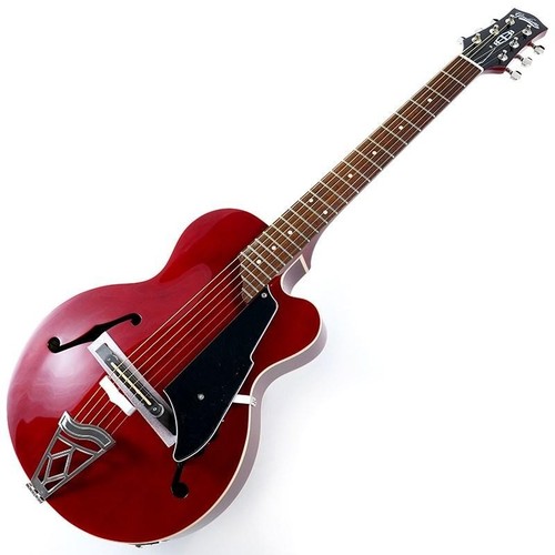Chitarra elettrica acustica