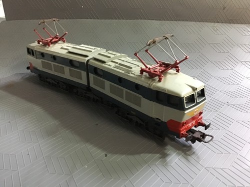 Loco lima caimano - loco,